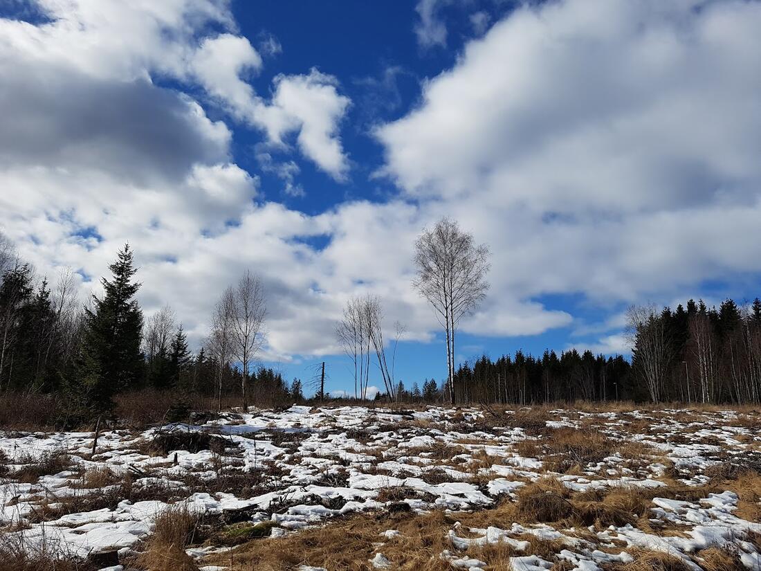 Foto fra Klukhagan på Stafsberg