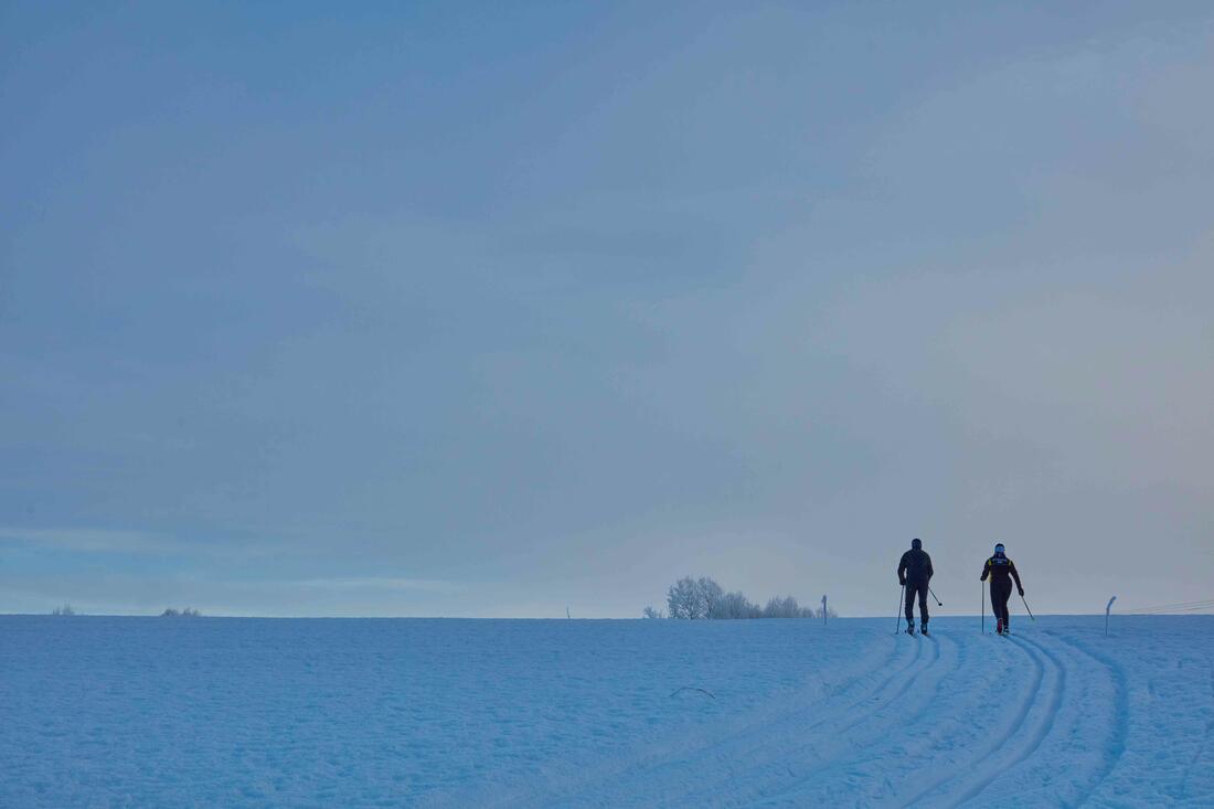 Skispor på jordet - og to i løypa -  foto Jens Haugen, ANTI.